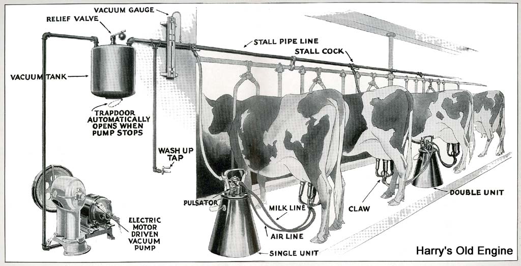 Dairy Barn